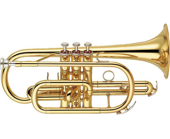  - 21937 за 0 грн. | 4Club